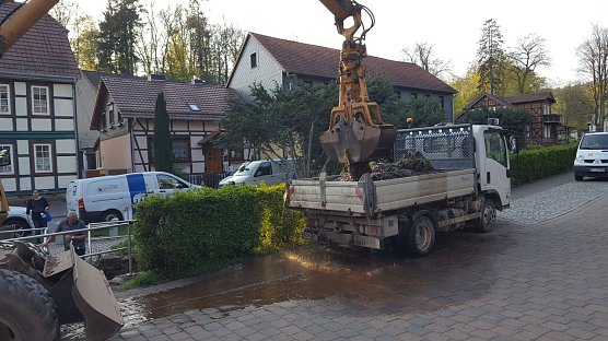 Im Bachbett hatte sich &uuml;ber den Winter son einiges angesammelt (Foto: privat)