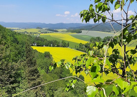 Wanderung am Wochenende am Mühlberg (Foto: Naturparke) Wanderung am Wochenende am Mühlberg (Foto: Naturparke)