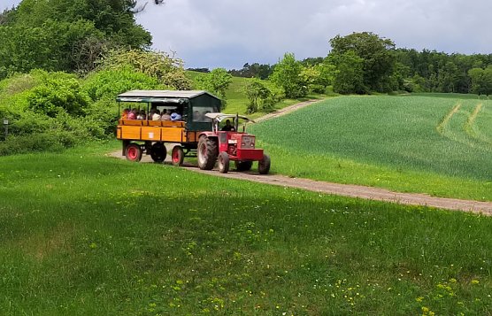Wandertag mit Kremserfahrt (Foto: C.Wilhelm) Wandertag mit Kremserfahrt (Foto: C.Wilhelm)
