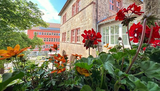 Blumenschmuck an den Rathausfenstern (Foto: Stadtverwaltung Nordhausen) Blumenschmuck an den Rathausfenstern (Foto: Stadtverwaltung Nordhausen)