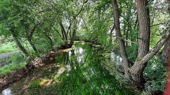 Die Salzaquelle (Foto: A.Apel) Die Salzaquelle (Foto: A.Apel)