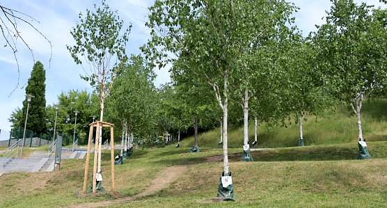 Knapp 100 Gie&szlig;s&auml;cke wurden installiert (Foto: Stadtverwaltung Nordhausen )