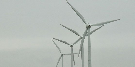 Windr&auml;der bei Nentzelsrode (Foto: agl)