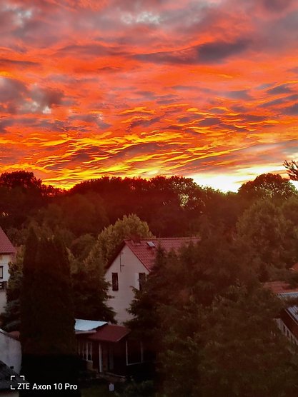 In Hainrode lichtete Gisela M&uuml;ller diese Szenerie ab... (Foto: G. M&uuml;ller)