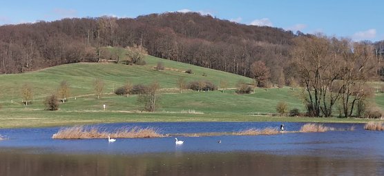 Blick &uuml;ber den Opfersee auf die H&uuml;gellandschaft um Steinsee und Hahnenhaus und Kirche in Liebenrode. (Foto: Firouz Vladi)