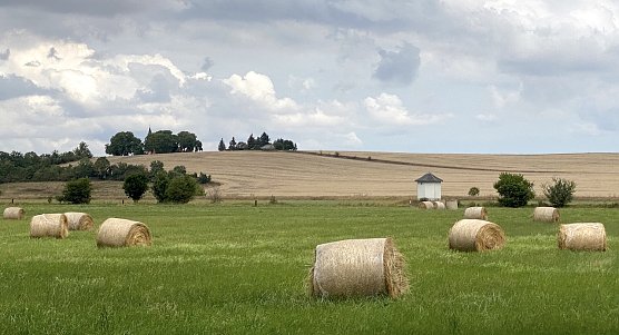 Weite ruhiges Sommerwetter (Foto: oas) Weite ruhiges Sommerwetter (Foto: oas)