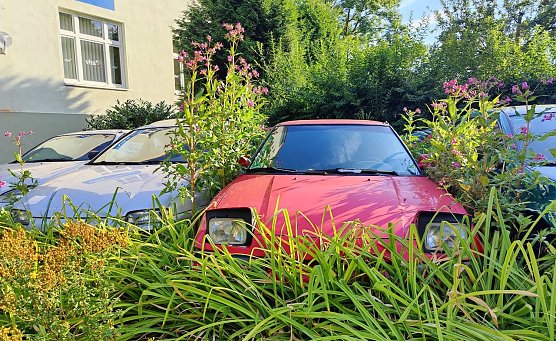 Parkidylle in der Nordh&auml;user Grimmelallee (Foto: P.Blei)
