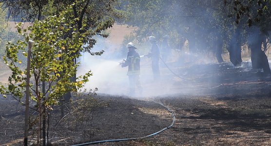Flächenbrand zwischen Klein und Großfurra (Foto: S.Dietzel) Flächenbrand zwischen Klein und Großfurra (Foto: S.Dietzel)