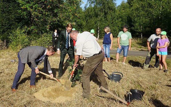 MP Bodo Ramelow (re.), Marc Fielmann (FIELMANN AG) und Volker Gebhardt (Th&uuml;ringenForst-A&ouml;R) bei der Pflanzung einer Stieleiche im Dreil&auml;ndereck Th&uuml;ringen, Niedersachsen und Sachsen-Anhalt (Foto: Katharina Reffelt)