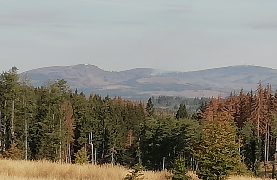 Die Rauchwolken im Harz waren am Wochenende auch im S&uuml;dharz auszumachen (Foto: W. J&ouml;rgens)