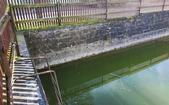 L&ouml;schwasserteich in Steigerthal (Foto: Stadtverwaltung Nordhausen)