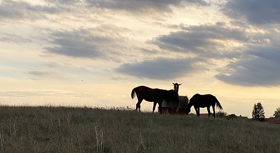 Weiter regnerisch und k&uuml;hl (Foto: oas)