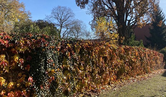 Beginn der bunten Jahreszeit (Foto: oas)