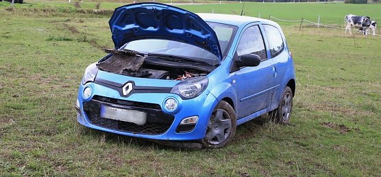 Endstation Kuhweide: Von der Stra&szlig;e abgekommen (Foto: Silvio Dietzel)