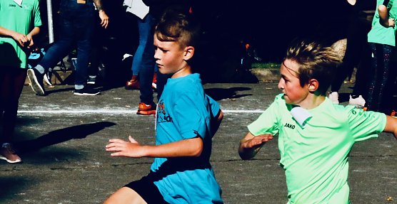 Herbstcrosslauf im Gehege (Foto: agl)