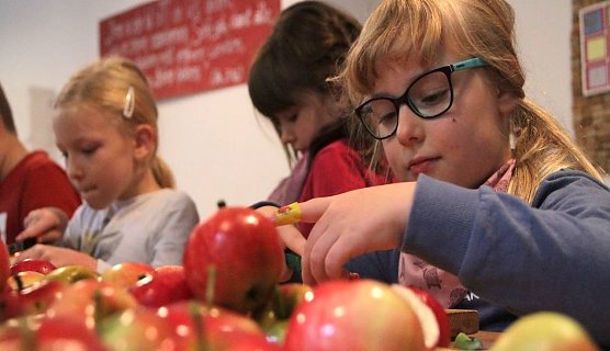 Die Apfelernte wird begutachtet (Foto: F.Tuschy) Die Apfelernte wird begutachtet (Foto: F.Tuschy)