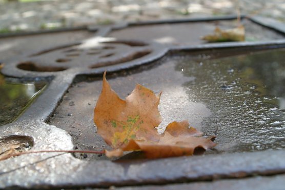 Wetterbild (Foto: WirSinds) Wetterbild (Foto: WirSinds)