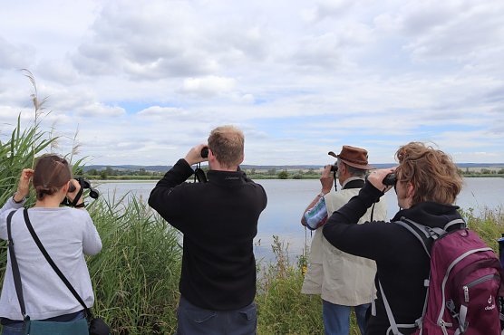 Vogelbeobachtung bei Auleben (Foto: Landschaftspflegeverband S&uuml;dharz/Kyffh&auml;user)