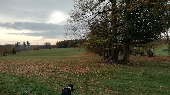 Sophienhof vermeldete heute Morgen frische 3 Grad Celsius. (Foto: W.Jörgens) Sophienhof vermeldete heute Morgen frische 3 Grad Celsius. (Foto: W.Jörgens)