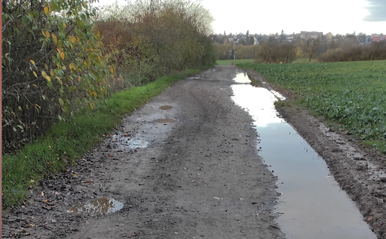 Feldweg in der Windl&uuml;cke bei Nordhausen (Foto: F. Oerster)