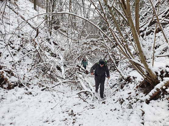 Eine wundersch&ouml;ne Winterlandschaft, die aber nicht immer leicht zu begehen war; hier kurz vor Steigerthal acht Kilometer nach dem Start.� (Foto: Bodo Schwarzberg)