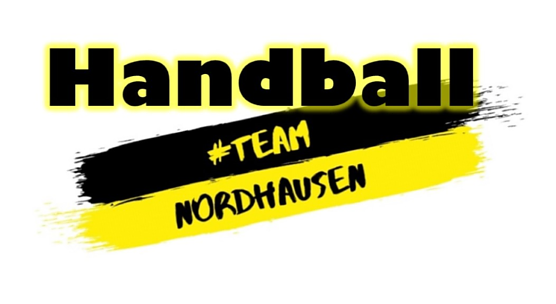 Die Handballabteilung des NSV im Einsatz (Foto: NSV)