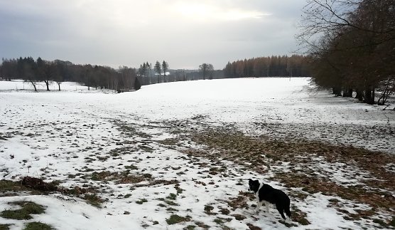 Wind, Regen und 4 Grad plus wurden uns heute aus Sophienhof gemeldet (Foto: W.J&ouml;rgens)
