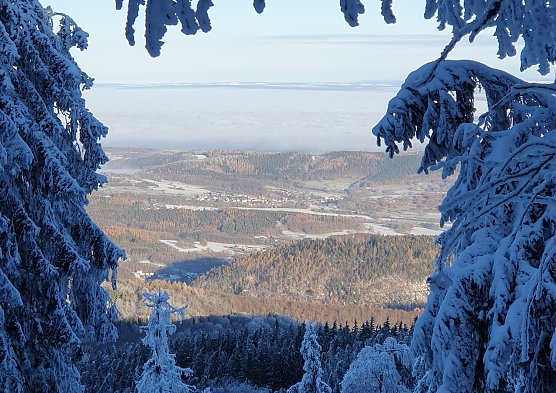 Sonnenaufgang (Foto: Ronny aus Nordhausen)