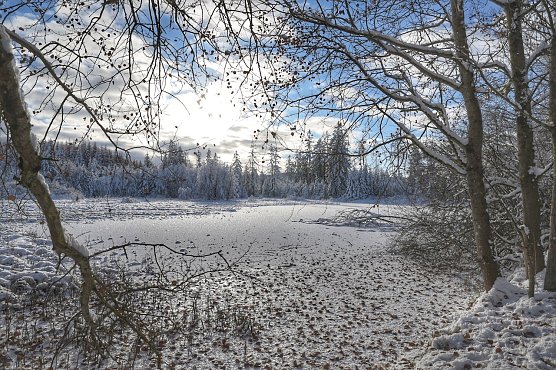 Winterspaziergang im Harz (Foto: Michael Wille) Winterspaziergang im Harz (Foto: Michael Wille)