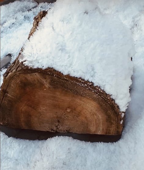 Holzstollen (Foto: Christine Stanke aus Uthleben )
