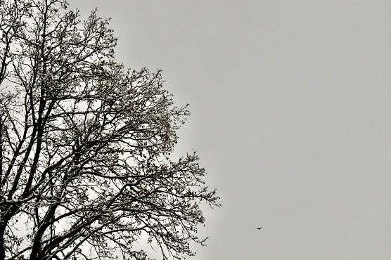 Wetterbild (Foto: agl) Wetterbild (Foto: agl)