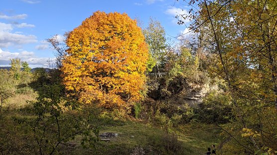 Fotowettbewerb des Landschaftspflegeverbandes l&auml;uft wieder (Foto: LPV)