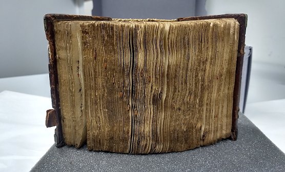 Wertvolle Handschrift aus dem 15. Jahrhundert kehrt nach Hause zur&uuml;ck (Foto: Stadtverwaltung Nordhausen)