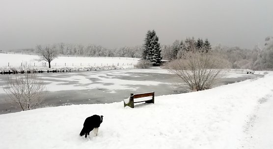 Der winterliche Harz lädt bei Werten um den Gefrierpunkt zu Spaziergängen ein (Foto: W.Jörgens) Der winterliche Harz lädt bei Werten um den Gefrierpunkt zu Spaziergängen ein (Foto: W.Jörgens)