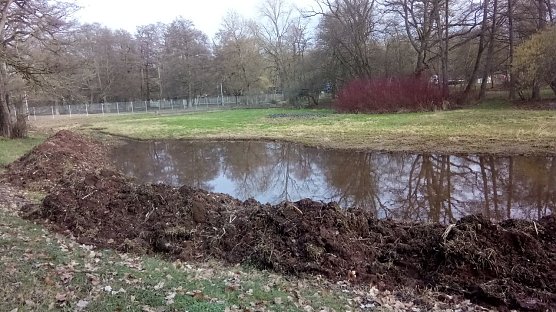 Aktivit&auml;ten im Stadtpark. Was sich einst ein kluger Kopf ausdachte, soll nun endg&uuml;ltig und dauerhaft Bestand haben: Ein Lebensraum f&uuml;r Fr&ouml;sche, Kr&ouml;ten, Libellen. Im Hintergrund rechts ist der aufgeschichtete Steinhaufen zu sehen, auf dem sich die Amphibien sp&auml;ter einmal aufw&auml;rmen k&ouml;nnen. (Foto: Rosaline Frank)