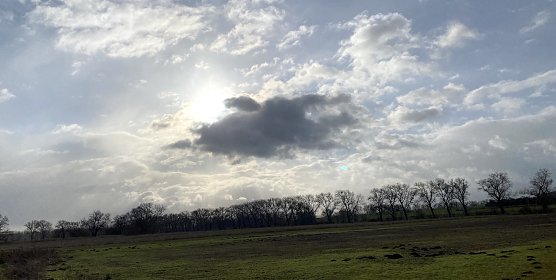 Das Januarwetter in der Statistik (Foto: oas)
