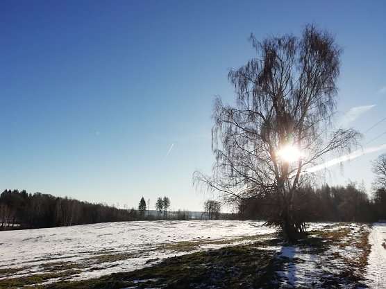 Frostig frisch und klar im Harz (Foto: W. J&ouml;rgens)