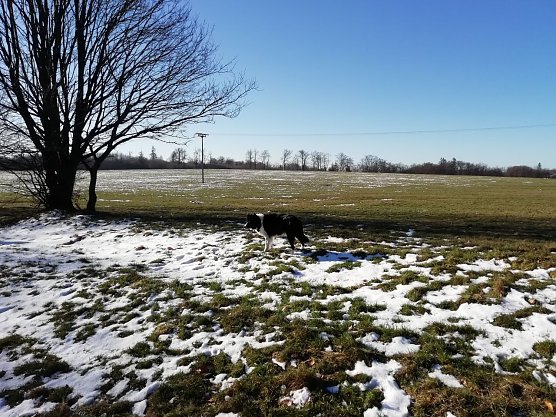 Im Harz kommt die Sonne langsam gegen den Winter an (Foto: W. J&ouml;rgens)
