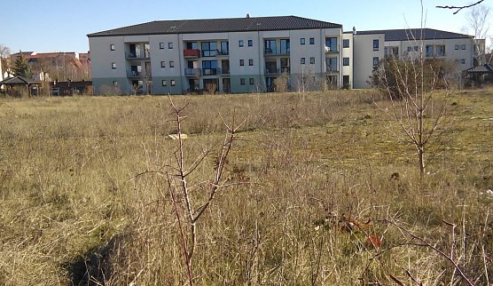 Diese Brachfl&auml;che auf der Westseite des Senioren- und Pflegeheimes Rolandhaus soll noch bebaut werden. Nach den Vorstellungen des Internationalen Bildungs- und Sozialwerk ist als Vision an eine Junge Pflege oder Junge Kurzzeitpflege gedacht. (Foto: Kurt Frank)