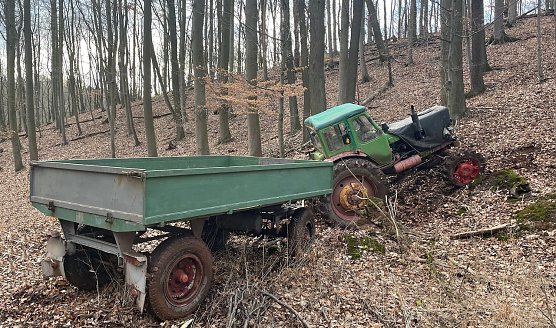 Ende einer wilden Flucht im Wald bei Herrmannsacker (Foto: S.Dietzel) Ende einer wilden Flucht im Wald bei Herrmannsacker (Foto: S.Dietzel)