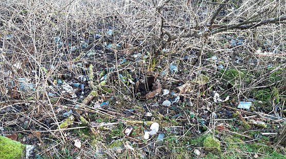 Müllsammlung am Karstwanderweg (Foto: privat) Müllsammlung am Karstwanderweg (Foto: privat)