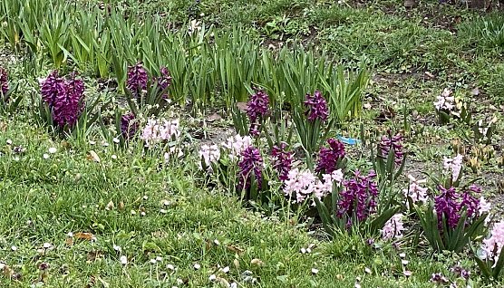 Heute und morgen noch mild, dann wi3der kühler (Foto: oas) Heute und morgen noch mild, dann wi3der kühler (Foto: oas)