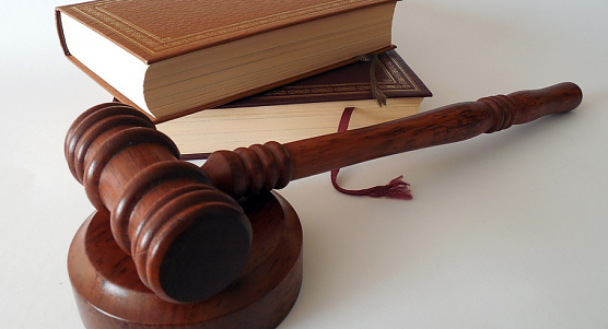 Gegen den Nordh&auml;uer Oberb&uuml;rgermeister l&auml;uft derzeit ein Disziplinarverfahren (Foto: succo/pixaby.com)