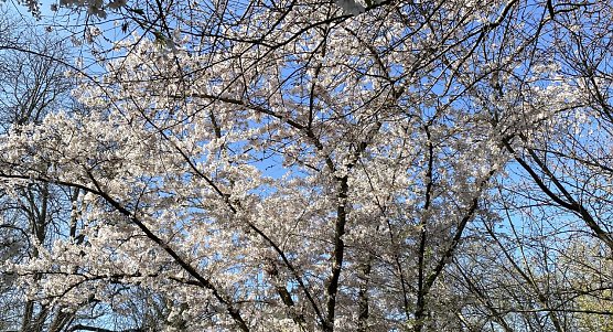 Fr&uuml;hlingswetter l&auml;sst weiter auf sich warten (Foto: oas)