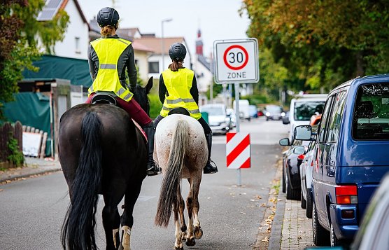 F&uuml;r Reiter gelten im Stra&szlig;enverkehr die gleichen Vorschriften wie f&uuml;r Autofahrer (Foto: Steve Bauerschmidt)