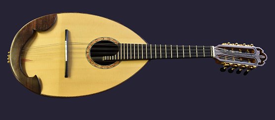 Die Mandoline - Instrument des Jahres  (Foto: W. Gruppe)