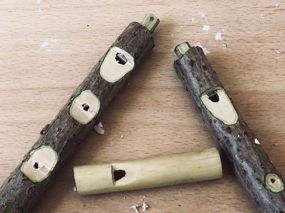 Kleine Holunderpfeifen locken den Frühling (Foto: KILA) Kleine Holunderpfeifen locken den Frühling (Foto: KILA)