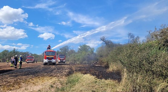 Brand in der Goldenen Aue (Foto: Die am Einsatz beteiligten Feuerwehren)