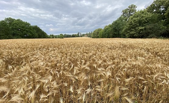 Der Sommer pausiert leider weiter (Foto: oas) Der Sommer pausiert leider weiter (Foto: oas)