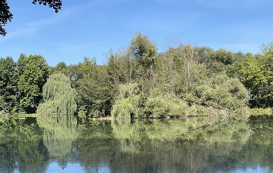 Böhmenteich Bad Langensalza (Foto: oas) Böhmenteich Bad Langensalza (Foto: oas)